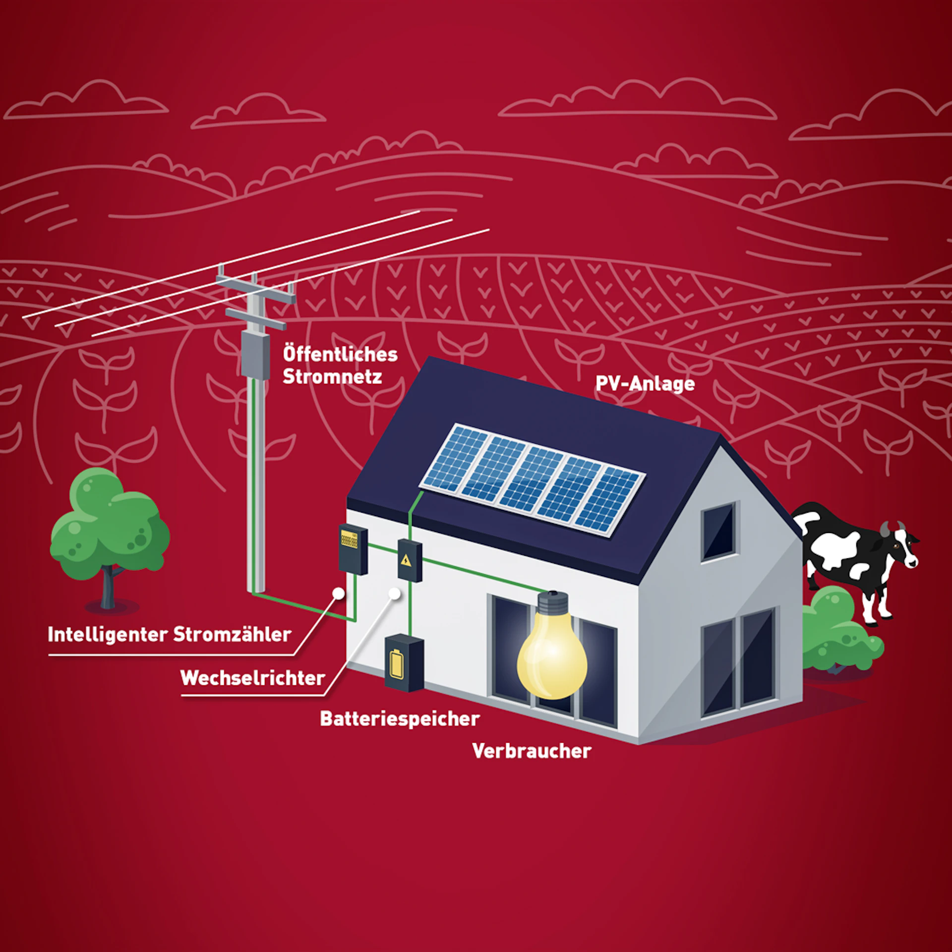 Grafik mit Beispielen für erneuerbare Energie: PV-Anlage, Intelligente Stromzähler, Wechselrichter, Batteriespeicher