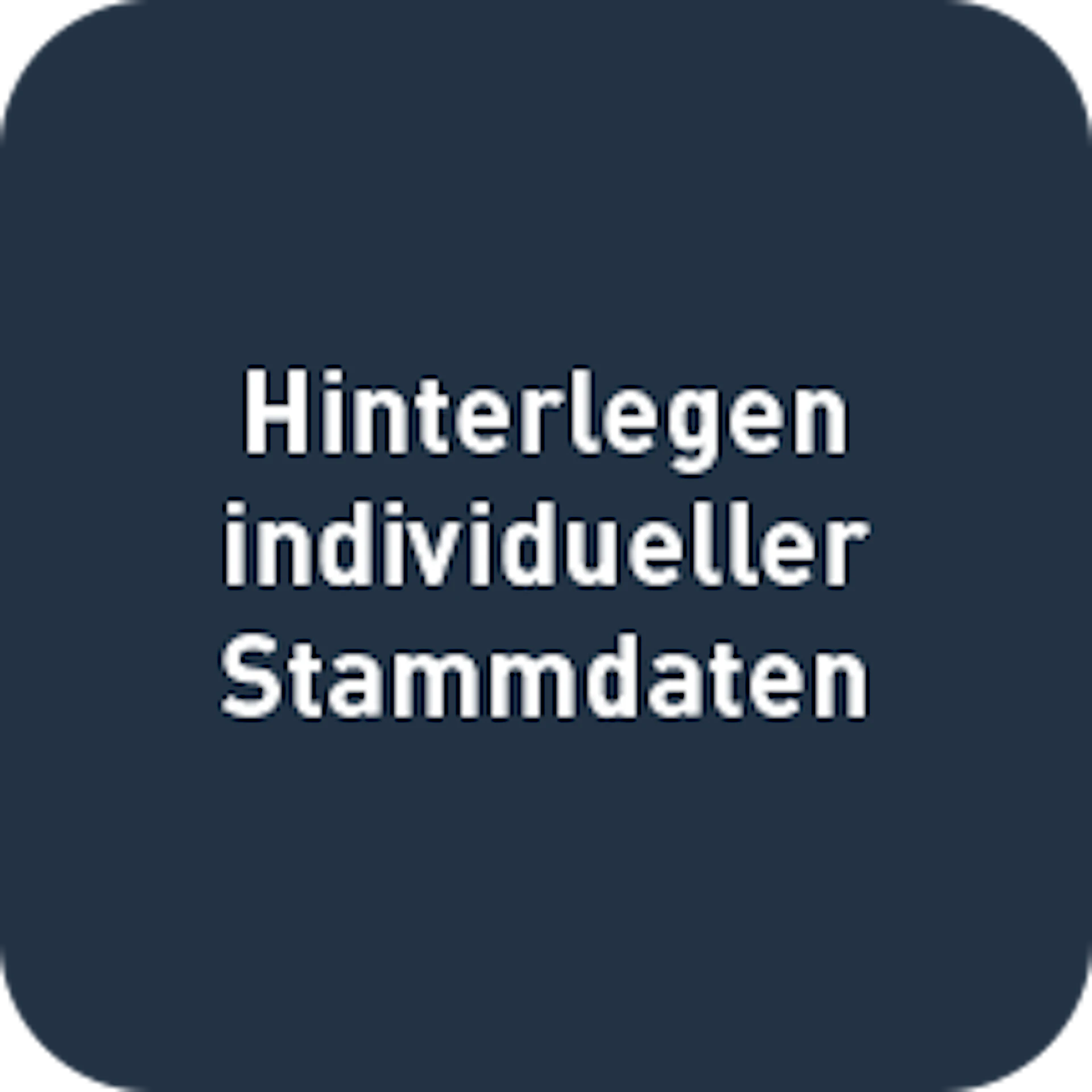 Hinterlegen individueller Stammdaten