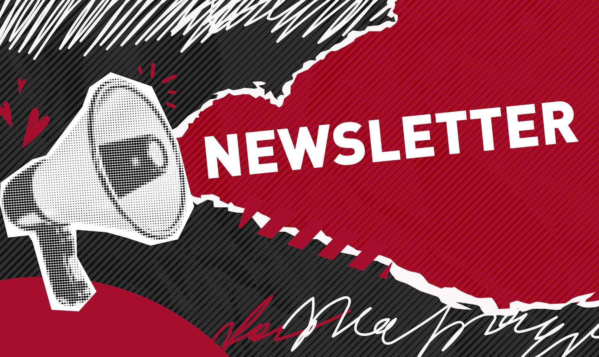 Anmeldung zum Newsletter von LandEnergie