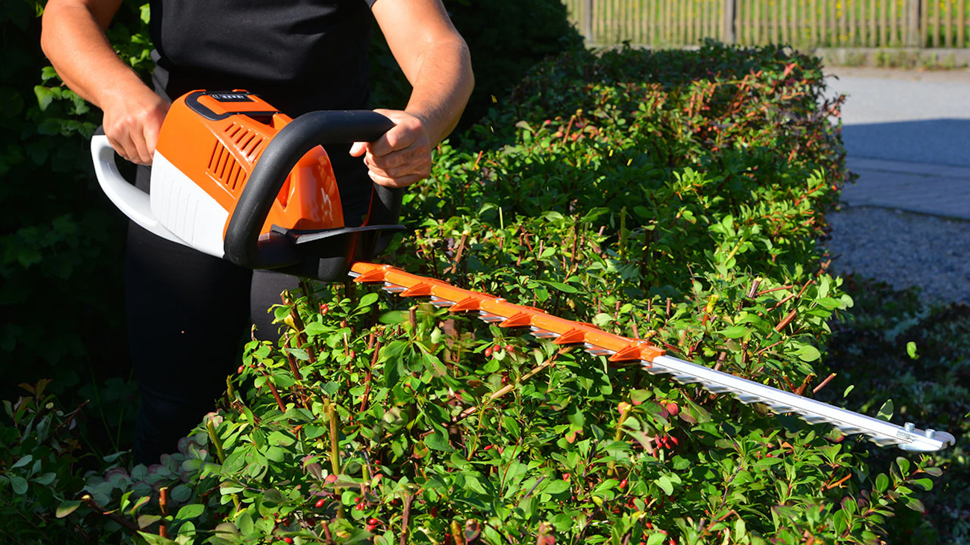 Mann schneidet mit einer elektrischen Heckenschere eine Hecke