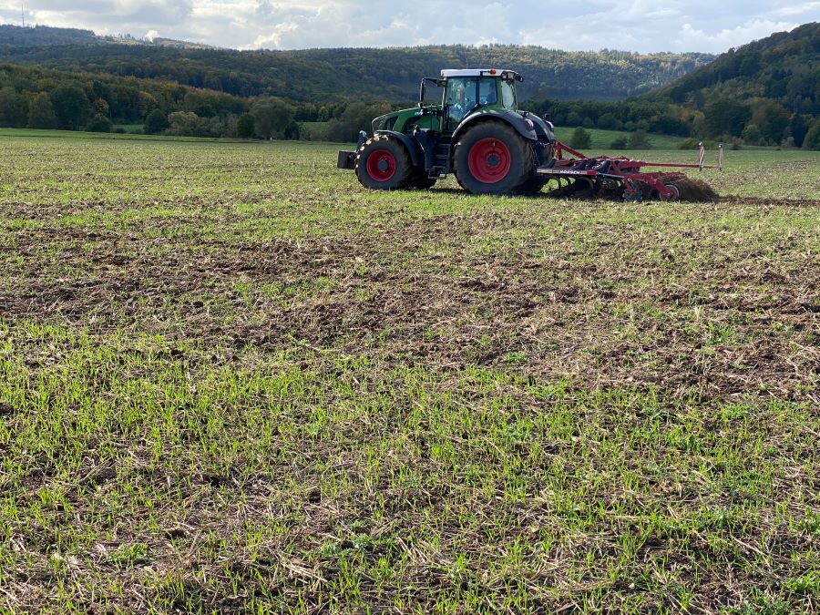 GLÖZ-8: Leguminosen statt Brache ab 2024 beschlossen