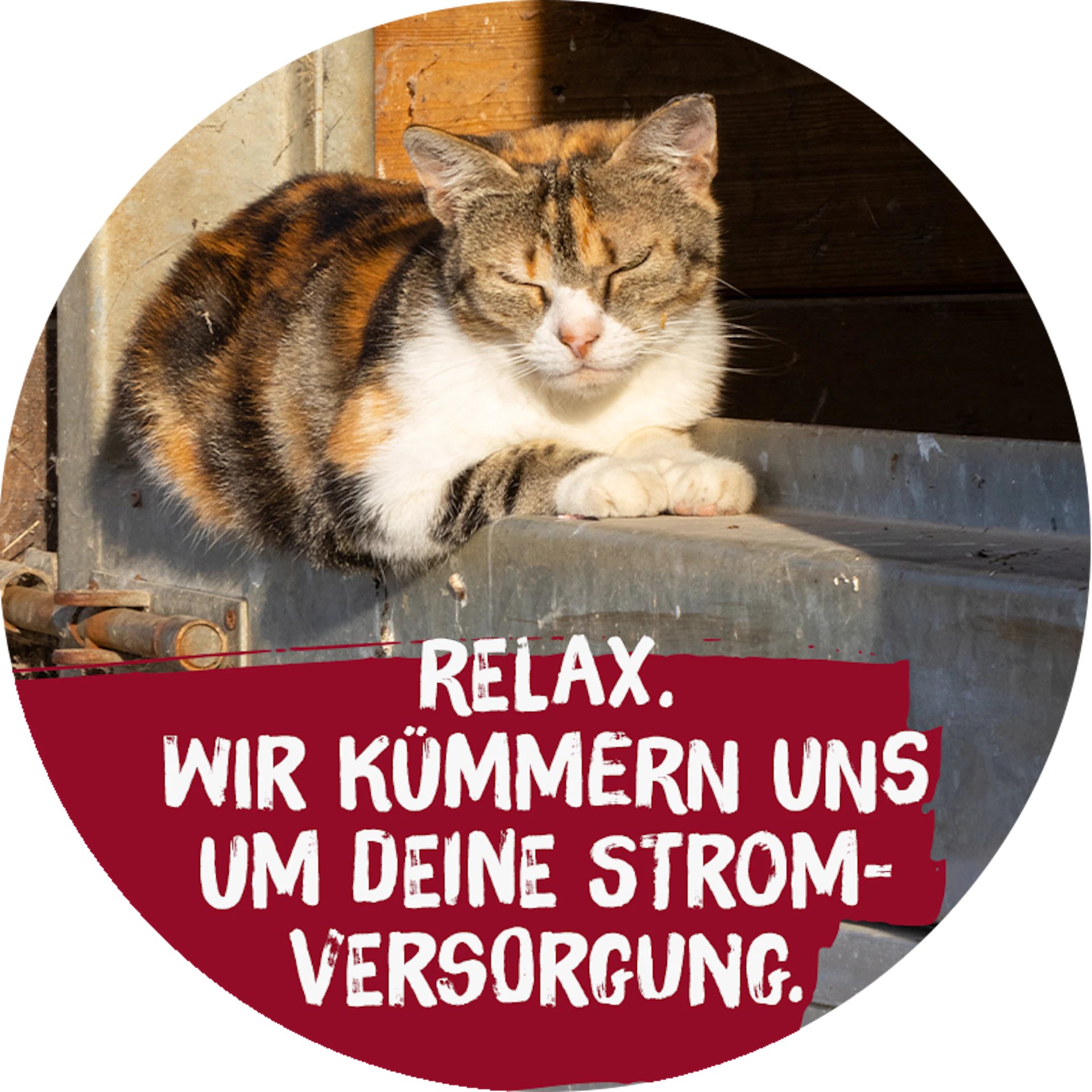 Bild mit Katze: Relax, wir kümmern uns um deine Stromversorgung