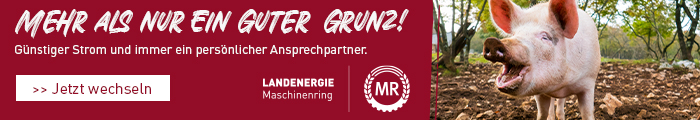 Mehr als nur ein guter Grunz! Günstiger Strom und immer einen persönlichen Ansprechpartner. Jetzt wechseln Maschinenring Landenergie